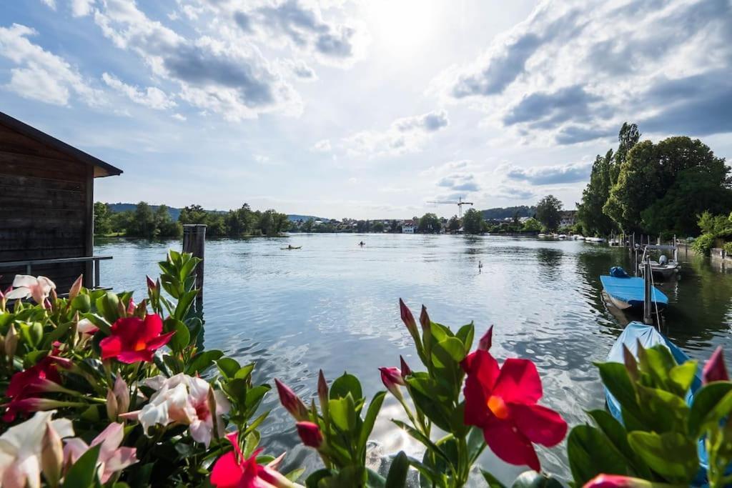 Luxury Apartment On The Rhein Бюзинген-на-Верхнем-Рейне Экстерьер фото