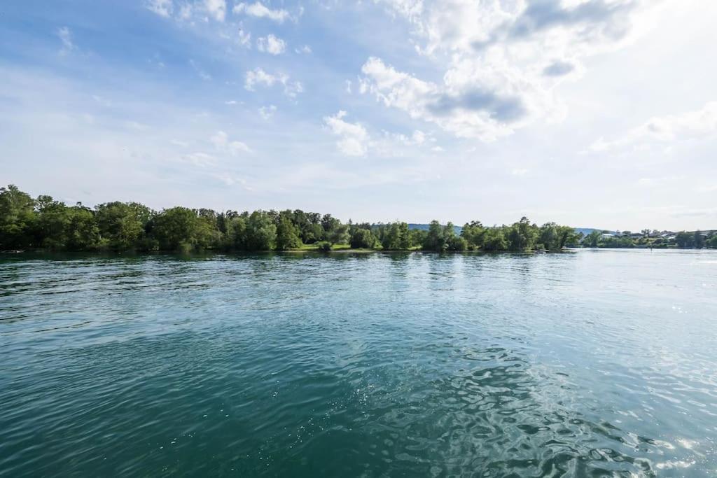 Luxury Apartment On The Rhein Бюзинген-на-Верхнем-Рейне Экстерьер фото