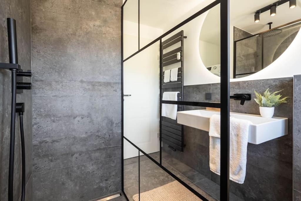 Luxury Apartment On The Rhein Бюзинген-на-Верхнем-Рейне Экстерьер фото
